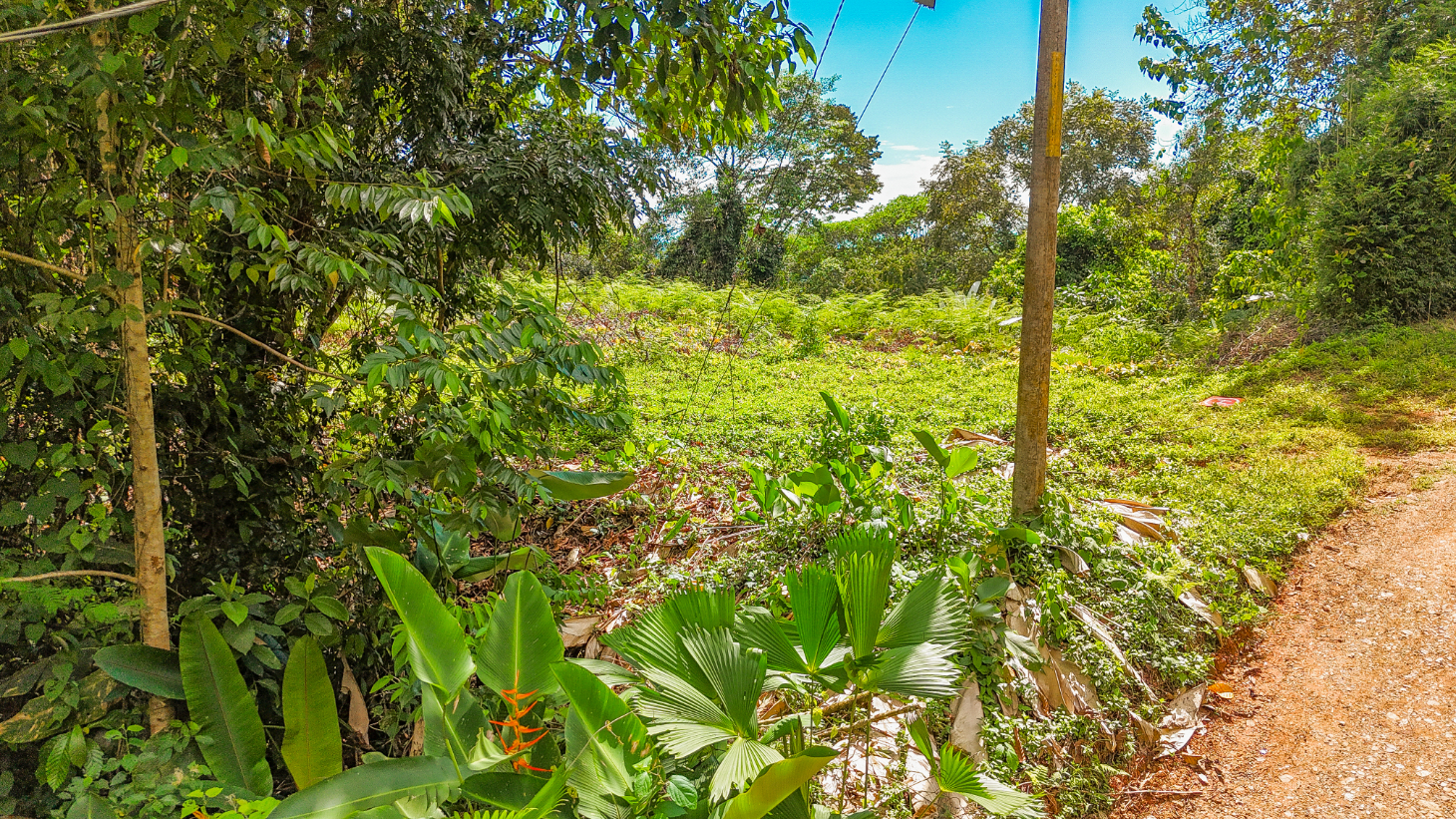 Jungle Lot for Sale in Ojochal With River & Waterfall selected