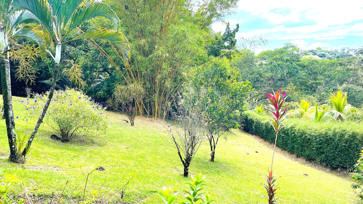 Charming 3 Bedroom Home with Lush Garden Acreage and Pocket Ocean View selected