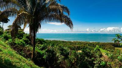 Front-Row Ocean View Estate with Private Waterfall near Dominical image 4