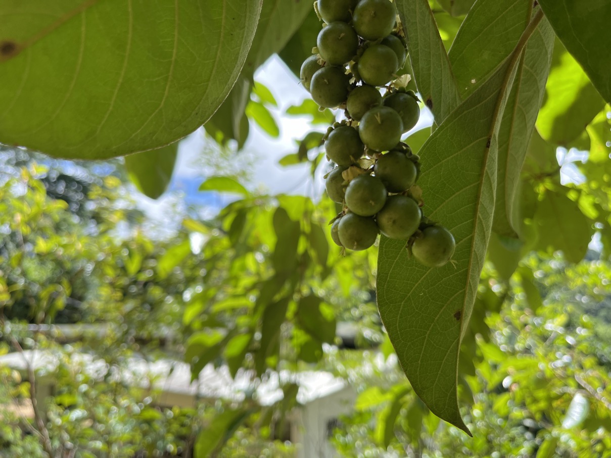 Charming Mountain Retreat in Vergel de Osa – Minutes from Ojochal, Beaches, and Waterfalls selected