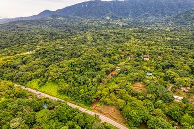Highway Frontage Commercial and Residential Lot in Ojochal image 3