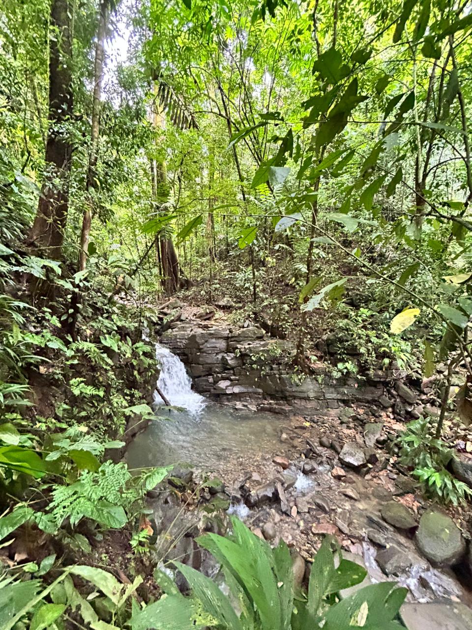 87 Acres of Natural Wonder and Endless Possibility in Ballena, Costa Rica selected