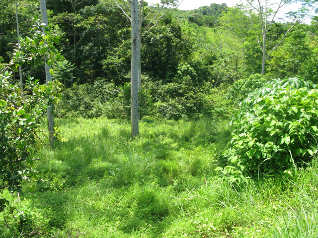 Exclusive Two-Lot Oasis in Gated Paradise – Build Your Dream Estate selected