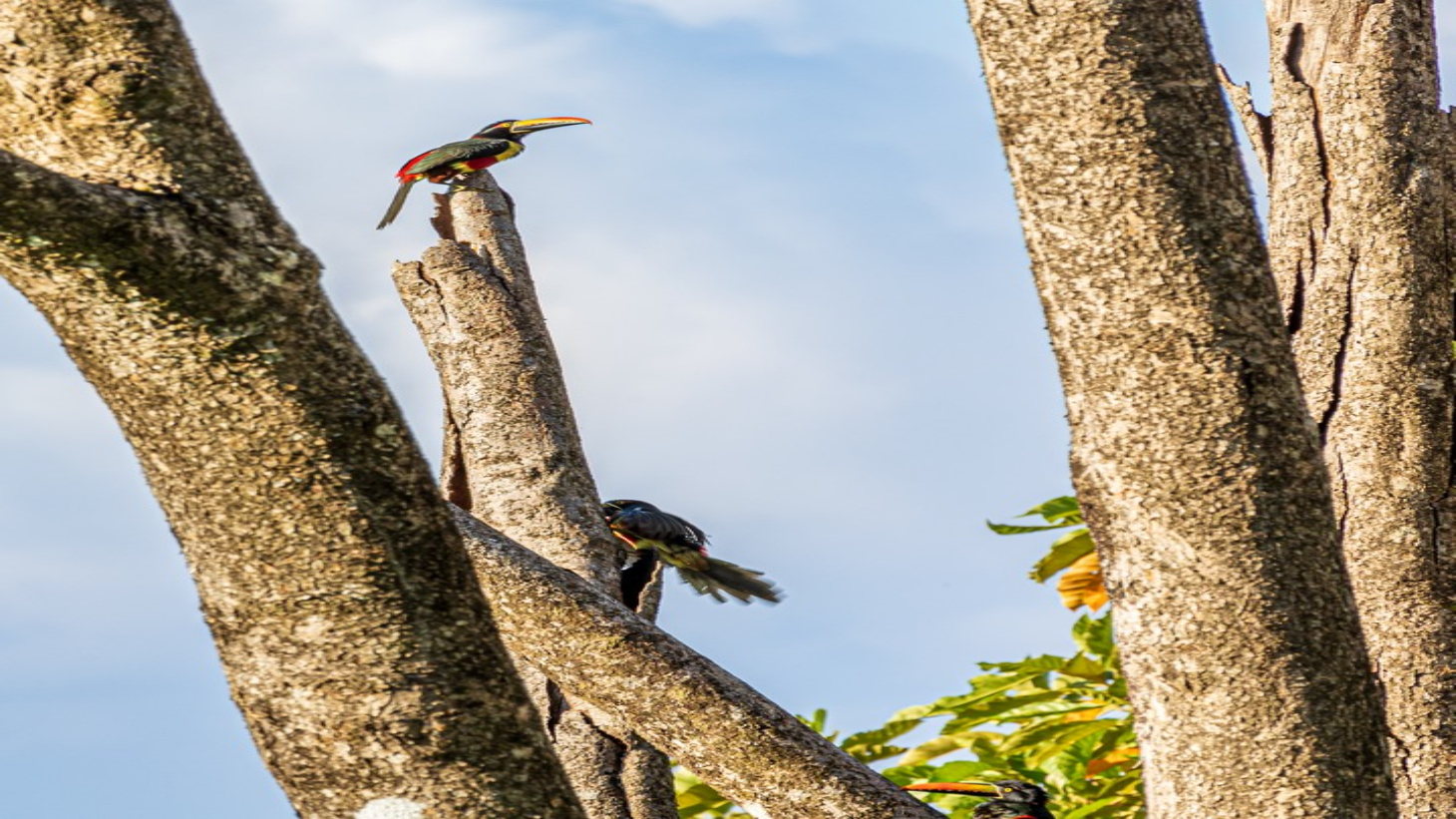 2 ACRES – 2 Bedroom Whales Tale Ocean View Home In Costa Verde Estates Gated Community selected