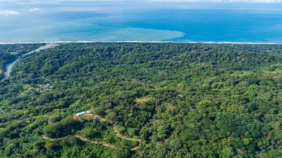 Rare 86-Acre Ocean View Estate Bordering Hacienda Barú – A Unique Opportunity for Conservation and Development image 4