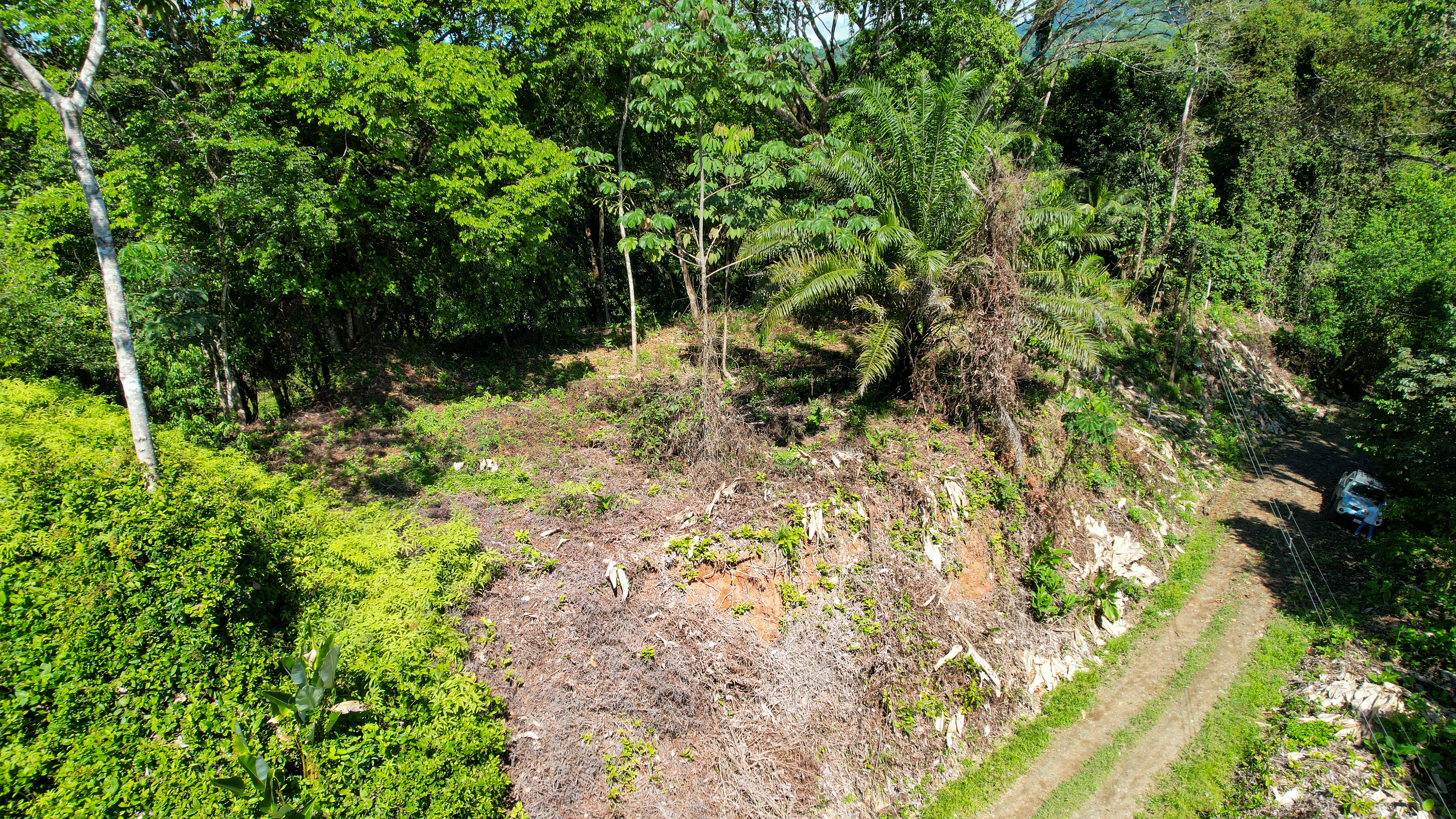 Tucked-Away Jungle Lot at the End of a Quiet Road — Ojochal, Costa Rica selected