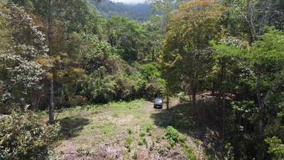 Ocean View Estate Lot with Private Waterfall – Uvita image 5