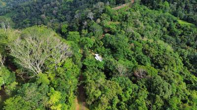 Charming Mountain Retreat in Vergel de Osa – Minutes from Ojochal, Beaches, and Waterfalls image 5