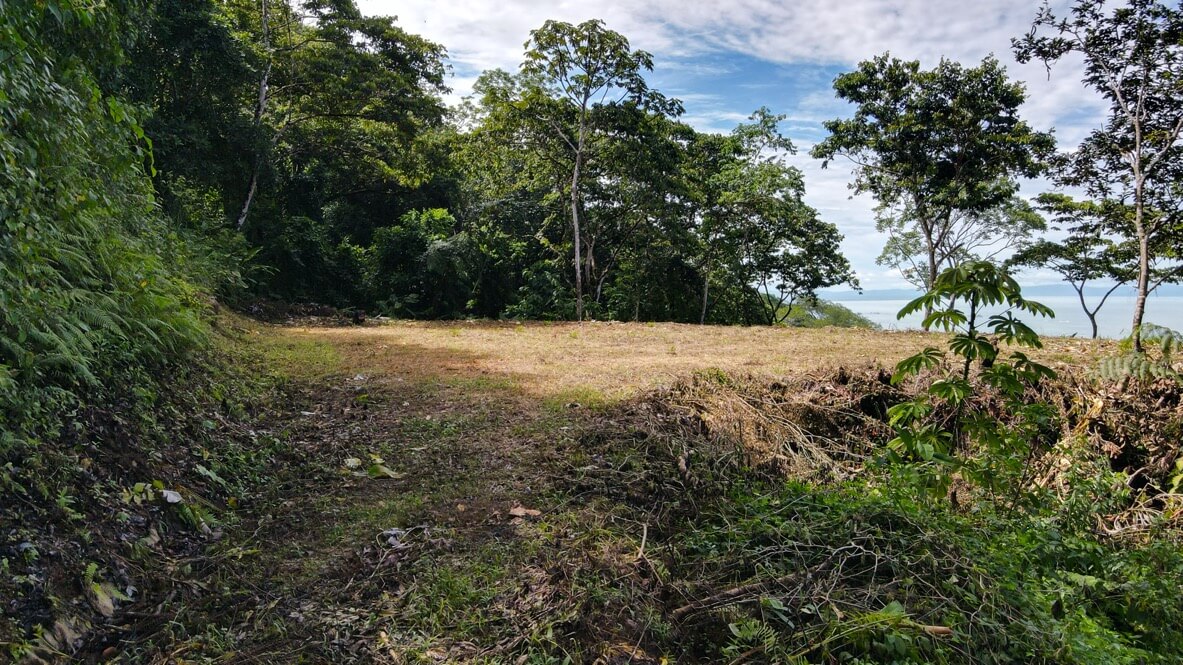 Whale's Tail and Ocean View lot for Sale in Costa Verde, Escaleras, Costa Rica selected