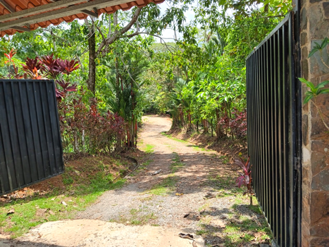 Multi-Home Income Estate Near Marino Ballena National Park selected