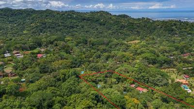 Jungle Sanctuary with Income-Generating Casitas, Creek, Pool & Ultimate Privacy in Ojochal image 3