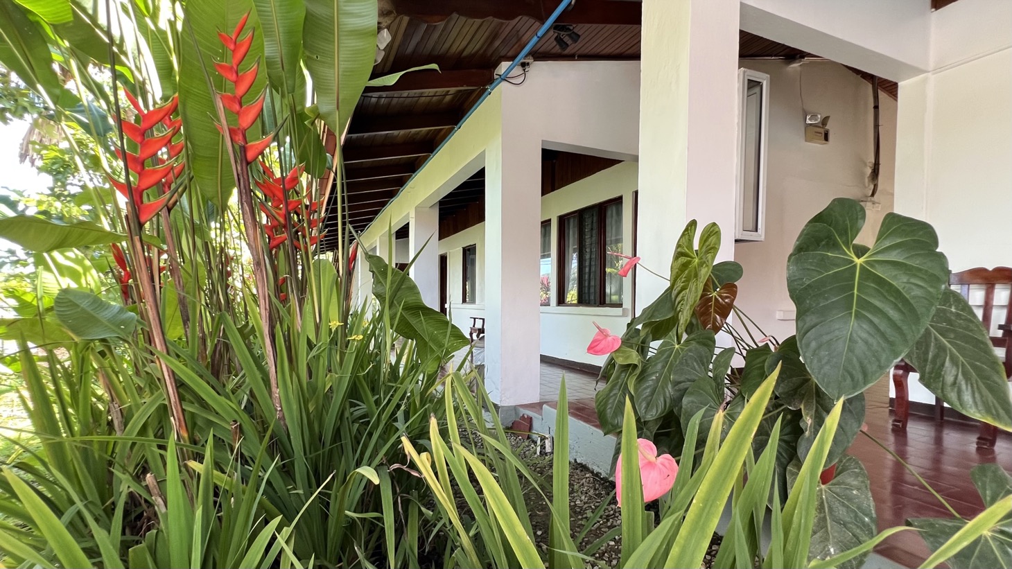 Turnkey Hotel With 24 Rooms, Pools & Restaurant - Prime Location in Golfito selected