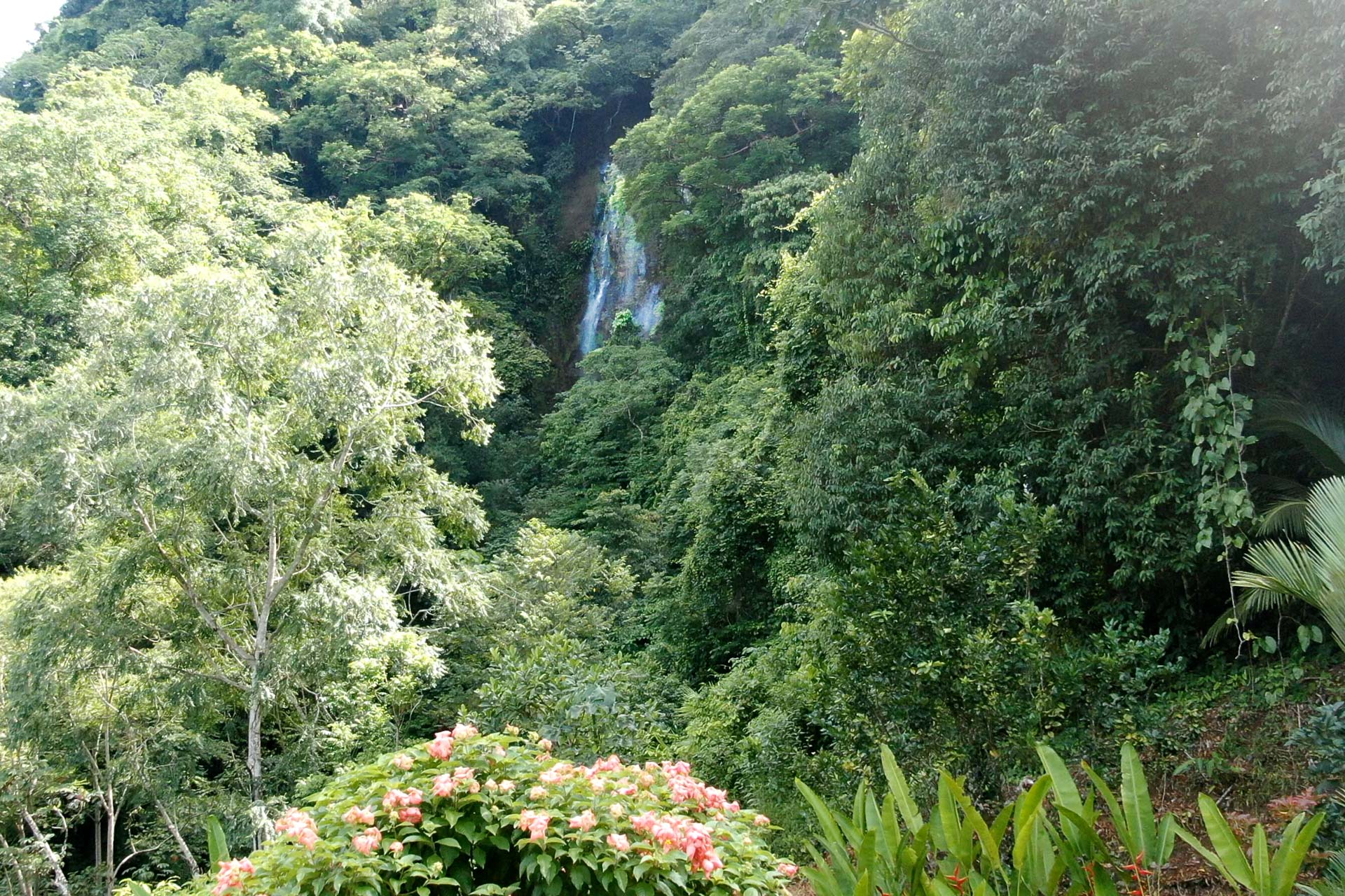 Luxury Waterfall-View Estate with Guest Casita in the Rainforest Hills of Dominical selected