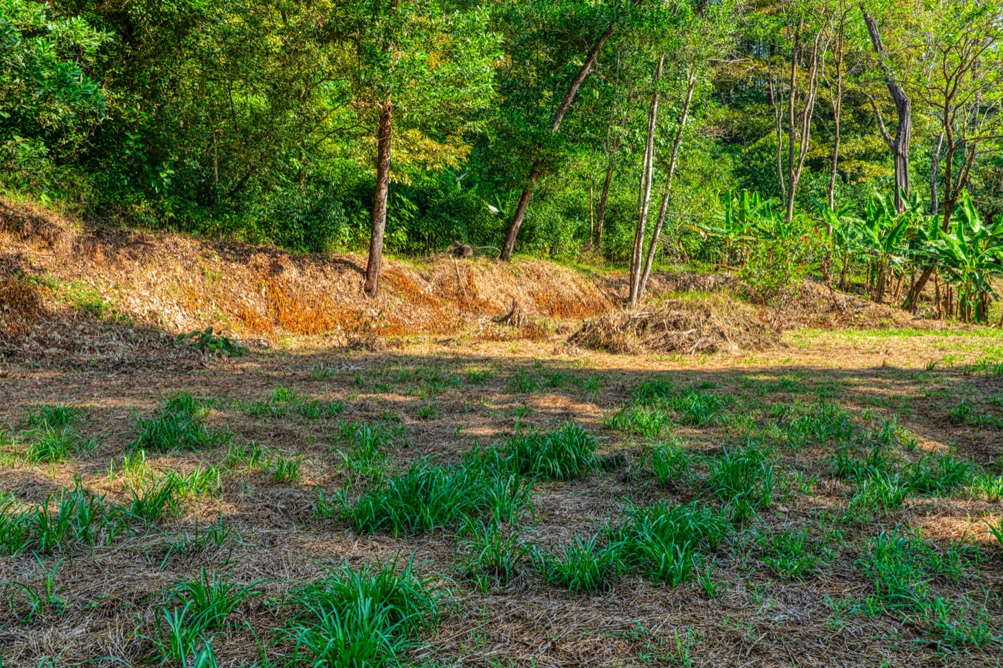 Ocean-View Property with Prime Location and Development Potential in Uvita selected