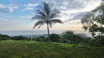 3.57-Acre Ocean View Estate Parcel with Creek & Sunset Exposure Near Dominical image 2