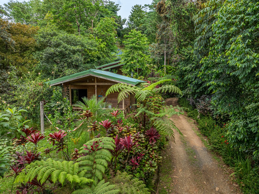 Charming Boutique Hotel with Ocean & Jungle Views in Uvita selected
