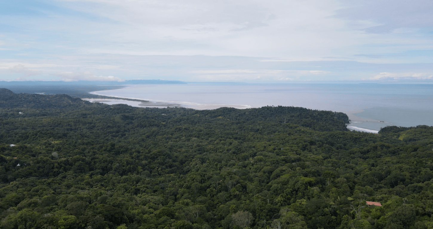 Iconic Ojochal Property For Sale with the BEST VIEWS and PRIVACY selected