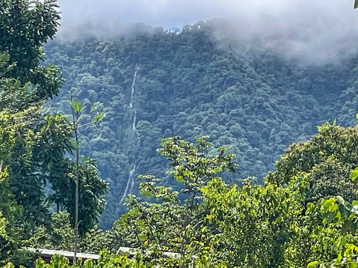 Your Private Mountain Sanctuary Awaits selected