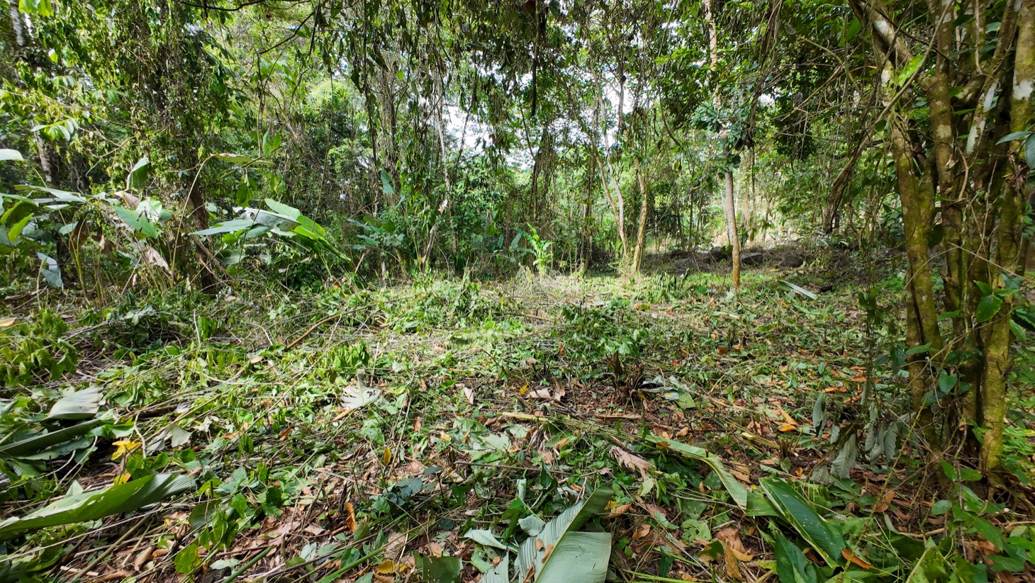 Riverfront Property for Sale in Ojochal, Costa Rica – Nearly 1 Hectare of Flat, Buildable Land selected