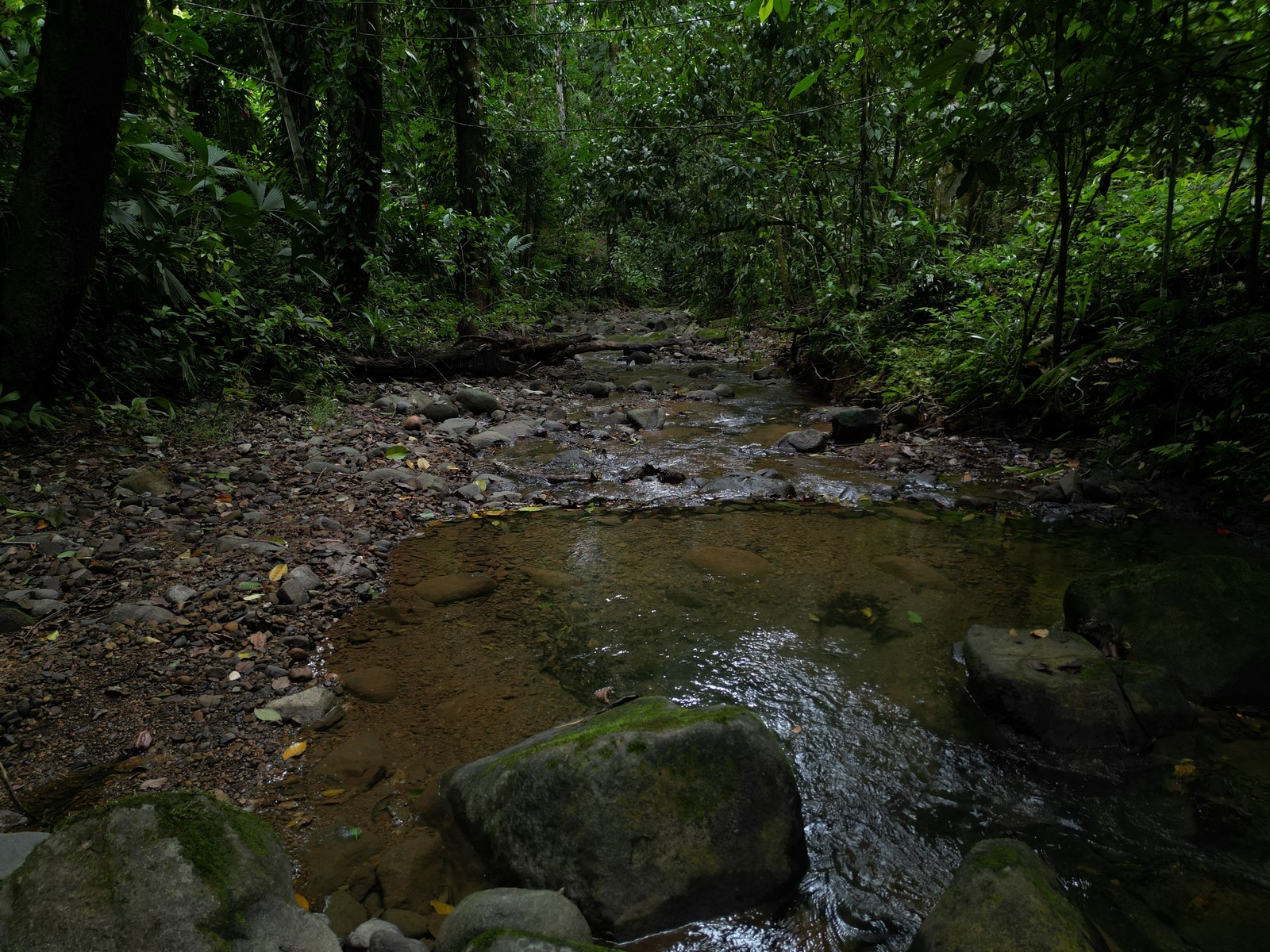 Turnkey Riverside Retreat in Ojochal selected