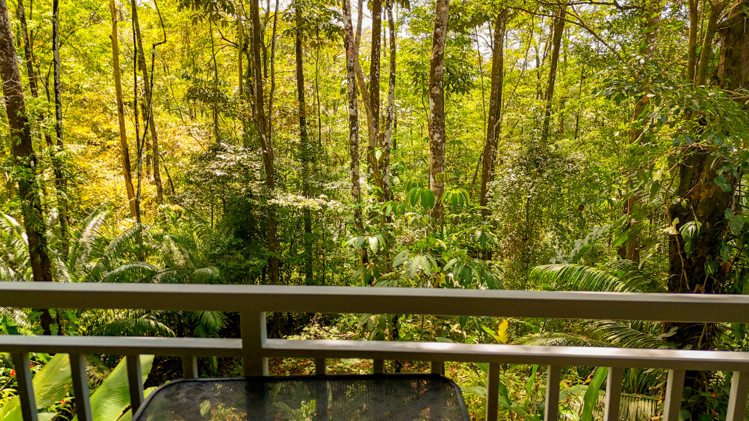 Uvita Jungle Home for Sale | Private Creek Lot Near Marino Ballena selected