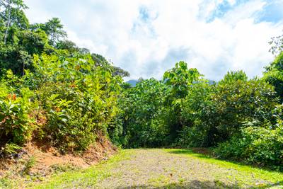 Secluded 2.9 Acre Jungle Lot with Mountain Views in San Buenas image 4