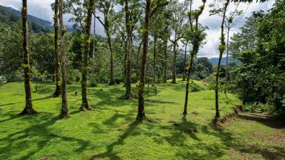 Secluded 4.5-Hectare Riverfront Oasis Near Hatillo & Dominical – Dos Bocas, Costa Rica image 1