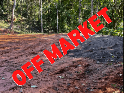 Prime Jungle Lot for Sale in Ojochal – Secluded Location with Easy Access image 1