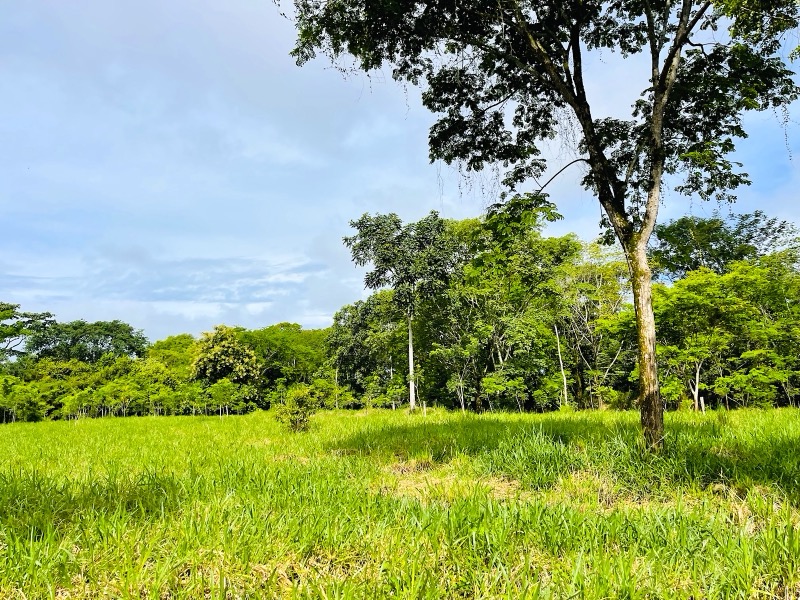 Prime 10+ Acre Development Opportunity in Uvita selected