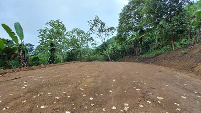 Mountain View Land with Several Building Sites and Mature Fruit Trees image 4