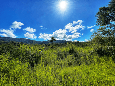 Exclusive Two-Lot Oasis in Gated Paradise – Build Your Dream Estate image 1