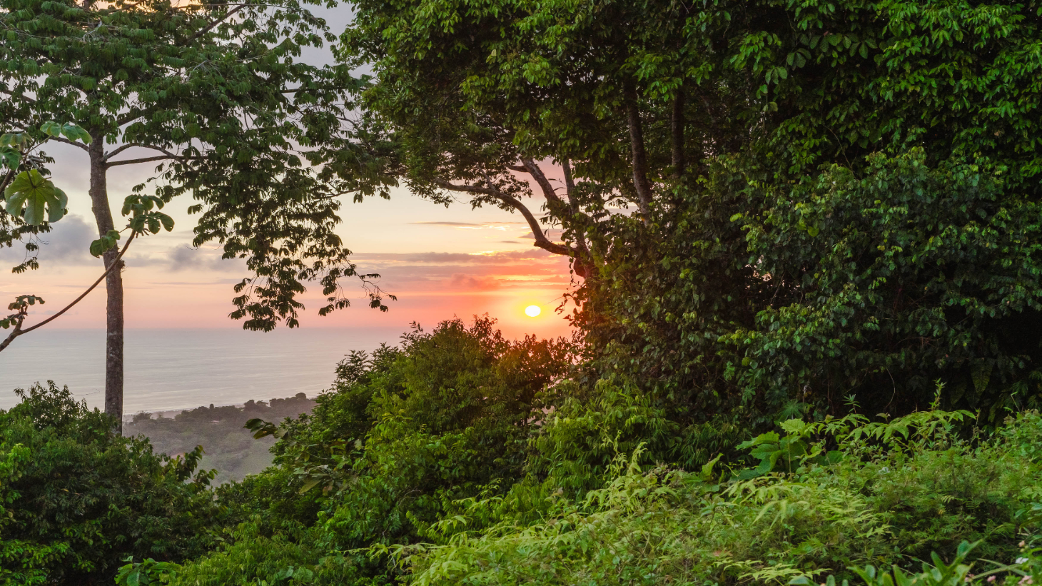 Luxury 5 Bedroom Ocean View Estate I Elevated Living Above Dominical selected