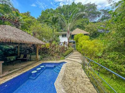 Jungle Sanctuary with Income-Generating Casitas, Creek, Pool & Ultimate Privacy in Ojochal image 1