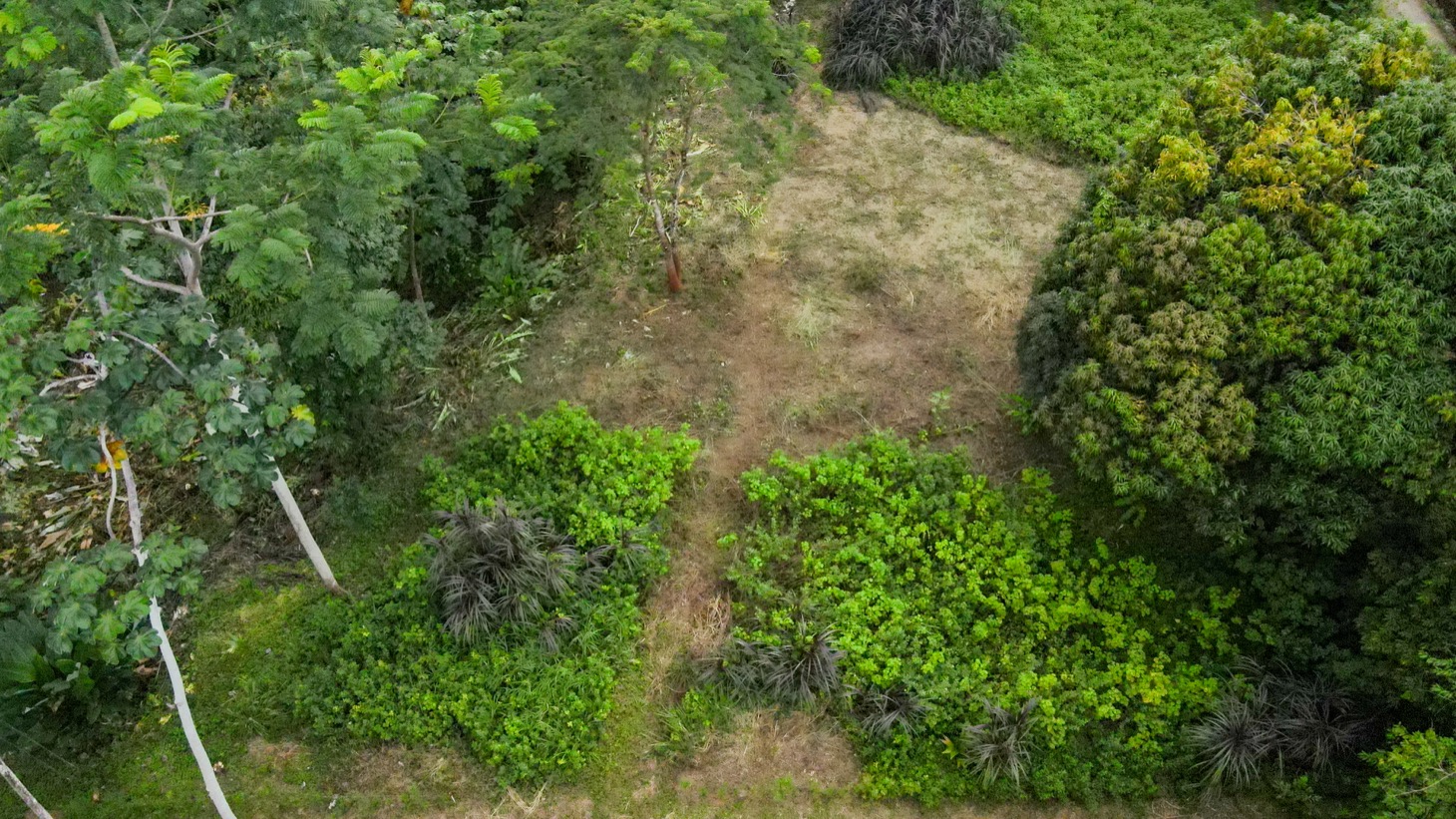 Riverfront Property for Sale in Ojochal, Costa Rica – Nearly 1 Hectare of Flat, Buildable Land selected