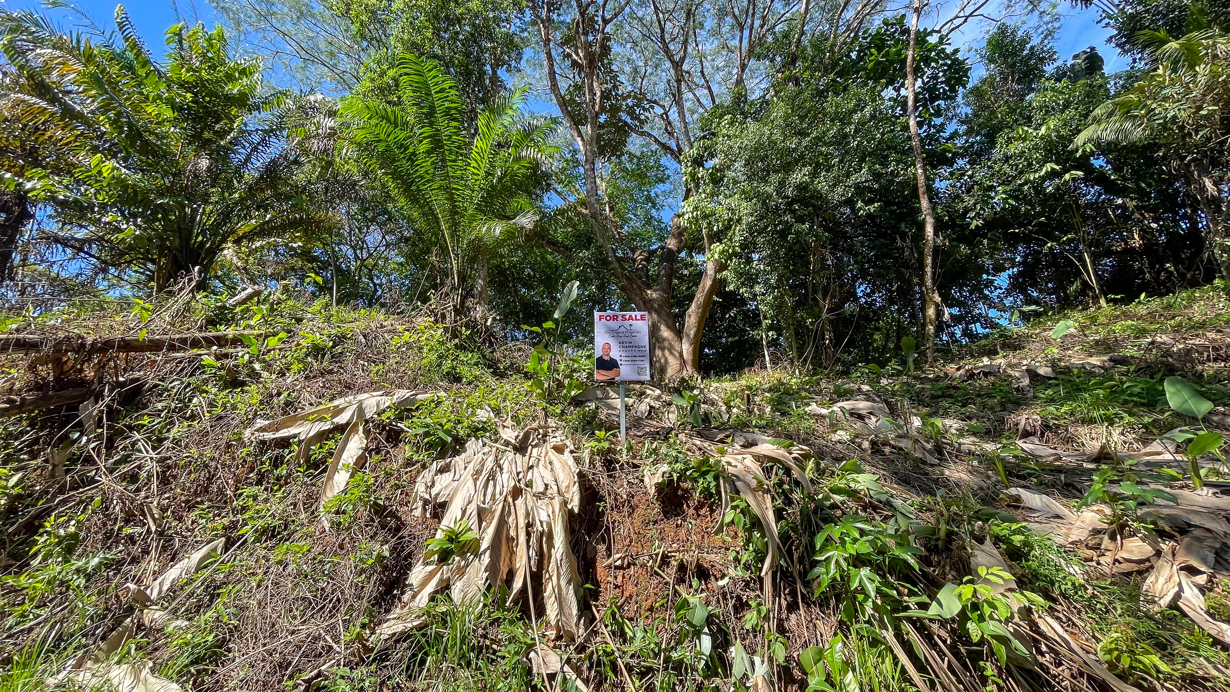 Tucked-Away Jungle Lot at the End of a Quiet Road — Ojochal, Costa Rica selected