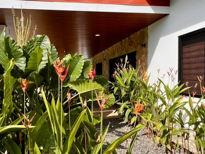 Brand New Modern Home in a Private Tropical Setting - Tres Rios image 5