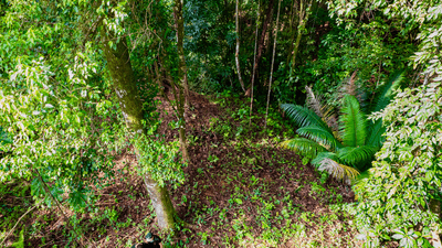 Exceptional Residential or Commercial Potential Property in Ojochal image 3