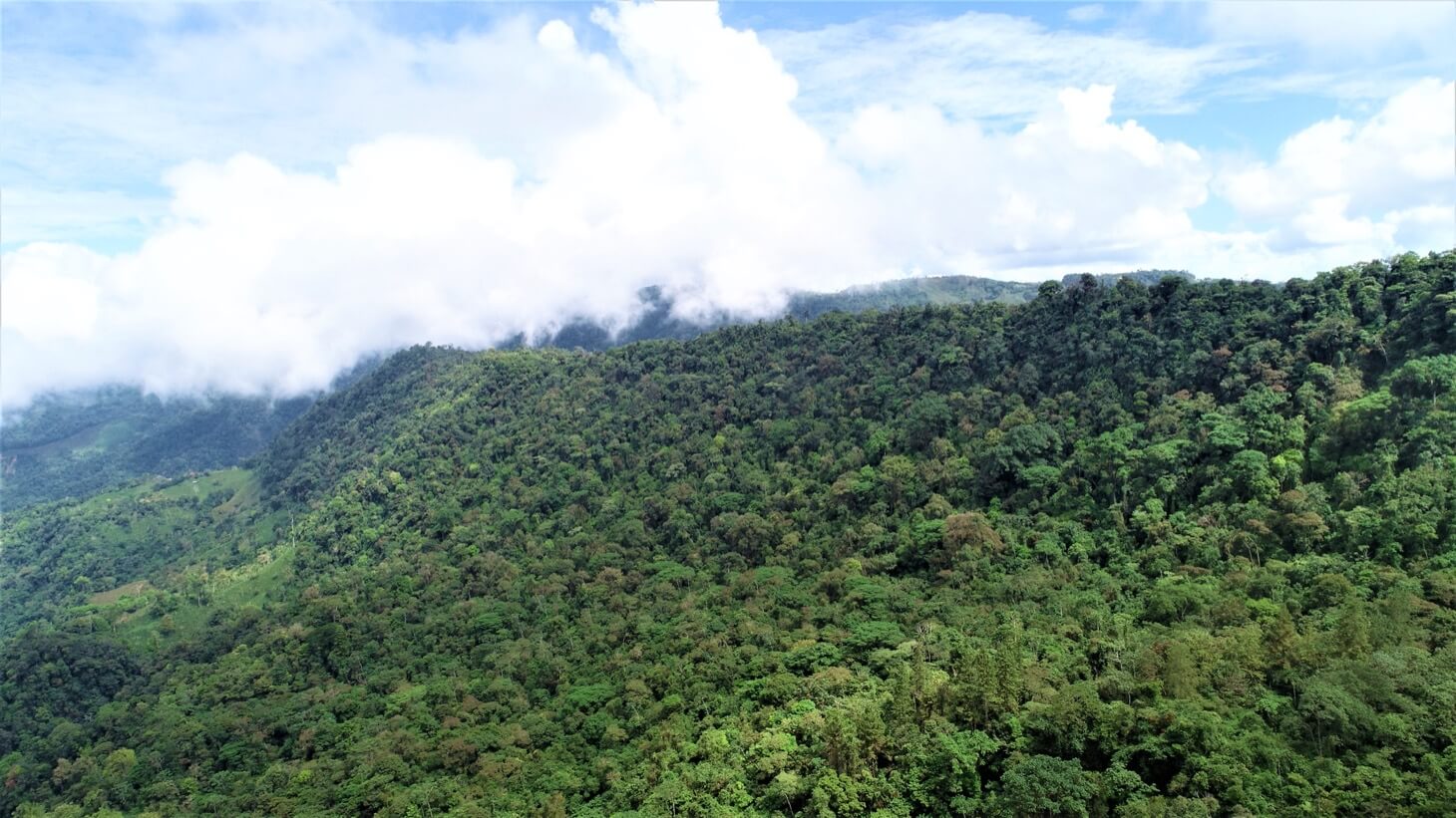 3 Spectacular Ocean View Farms in Uvita selected