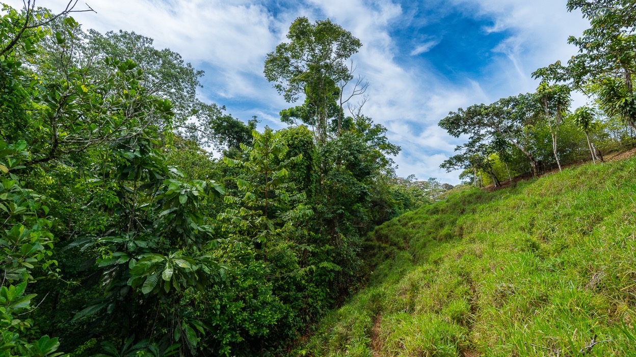 Ocean View Development Property with Waterfall Vista — 14.83 Acres in San Luis de Morete, Near Uvita selected