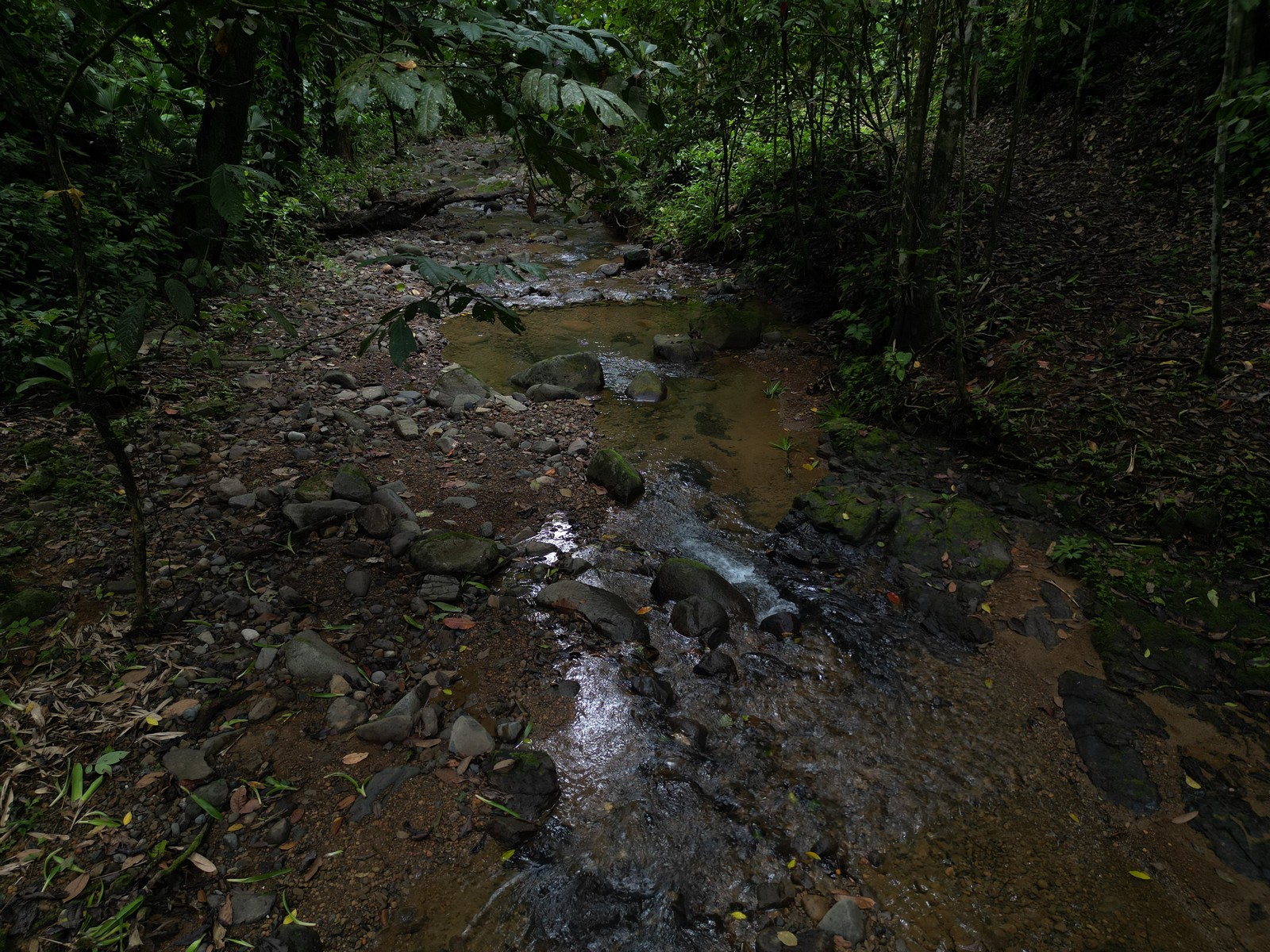 Turnkey Riverside Retreat in Ojochal selected