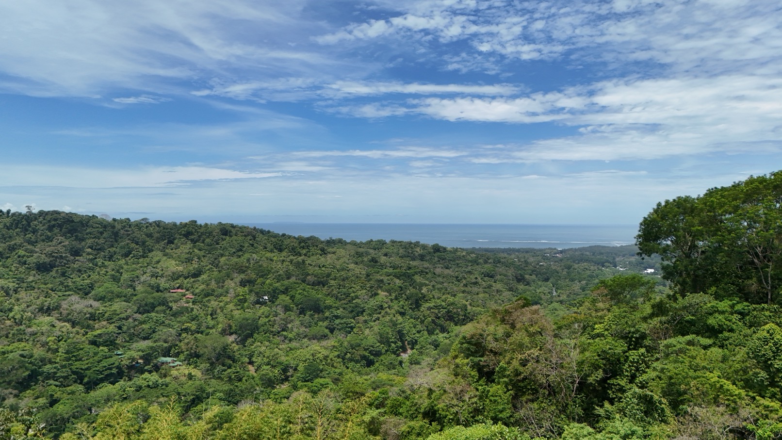 Expansive Oceanview Estate Lot in Uvita selected