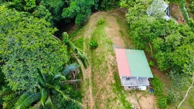 Fixer-Upper with Stream, Forest Views, and Investment Potential in Playa Hermosa image 2
