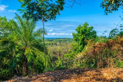 Ocean-View Property with Prime Location and Development Potential in Uvita image 2
