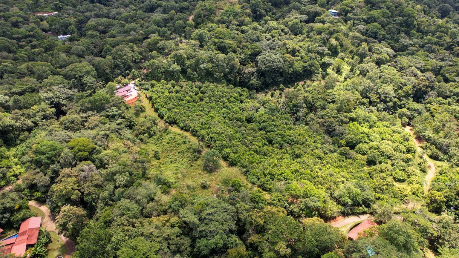 Premium 9.3-Hectare Farm for Sale in Ojochal, Costa Rica selected