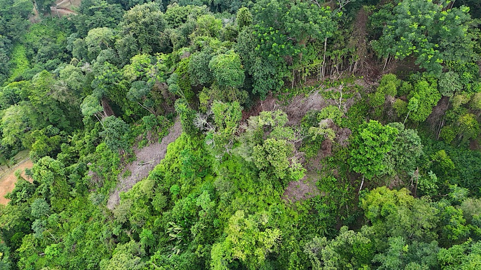 Rare 25+ Acre Opportunity in Uvita selected