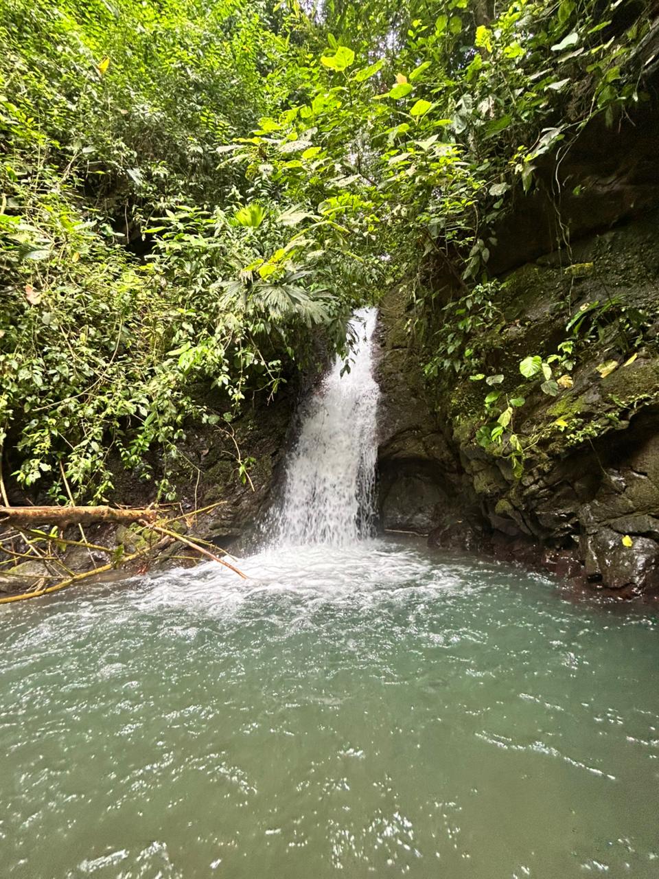 87 Acres of Natural Wonder and Endless Possibility in Ballena, Costa Rica selected