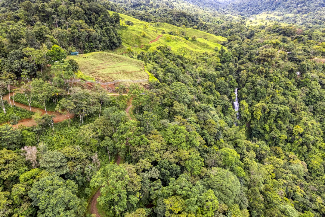 21.3-Acre Waterfall Farm Sanctuary in Costa Rica’s Southern Zone selected