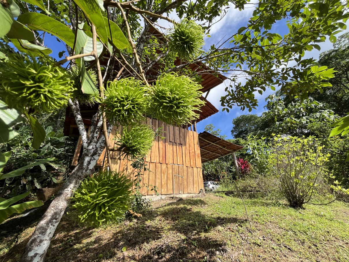 Charming Mountain Retreat in Vergel de Osa – Minutes from Ojochal, Beaches, and Waterfalls selected