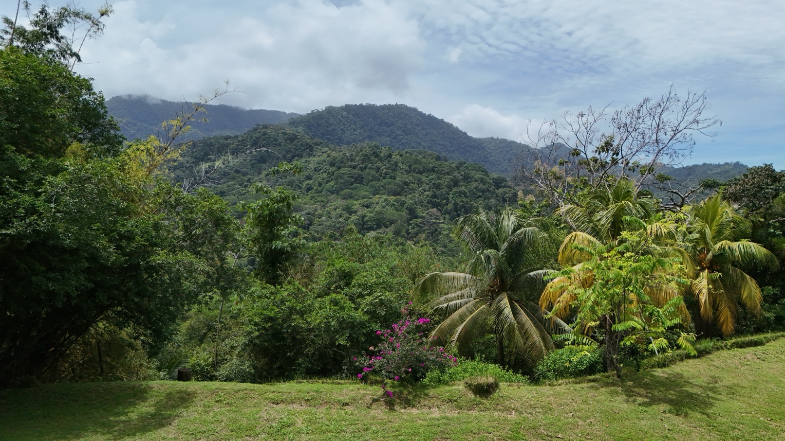 Expansive Oceanview Estate Lot in Uvita selected