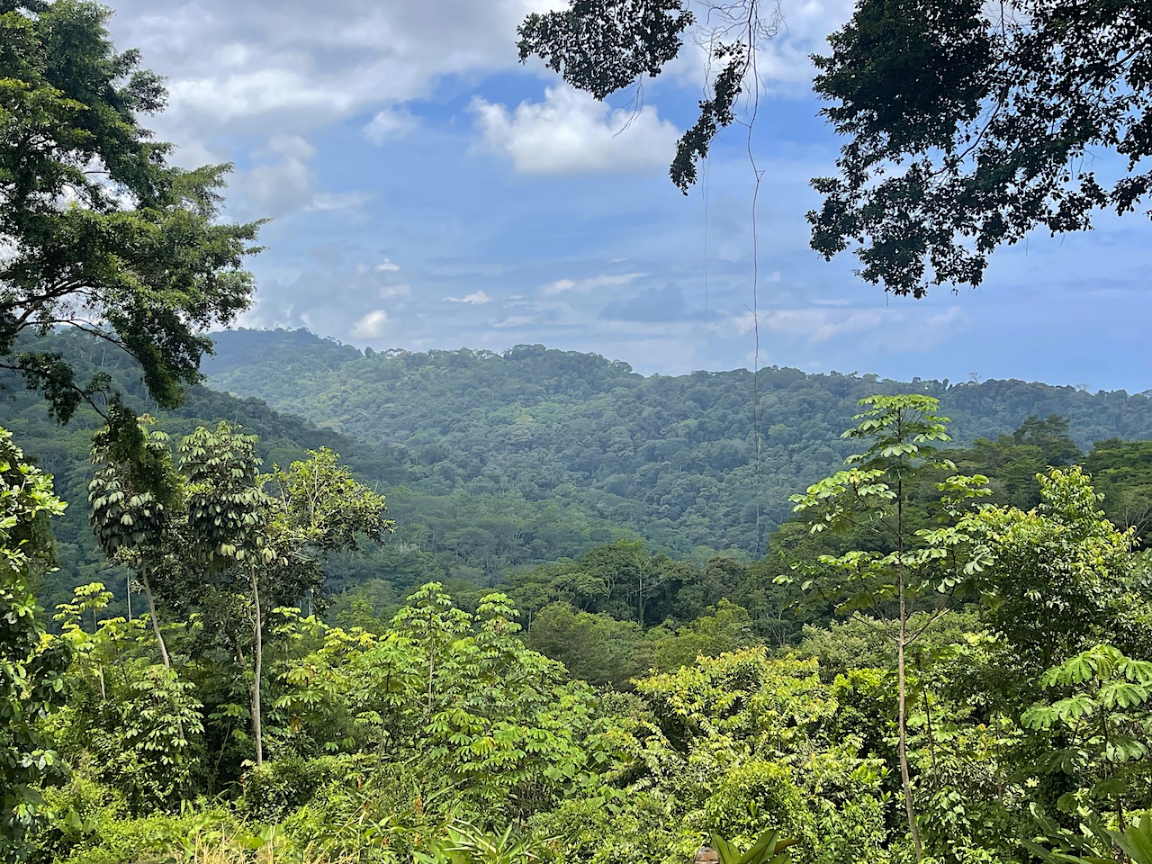 Rare 25+ Acre Opportunity in Uvita selected